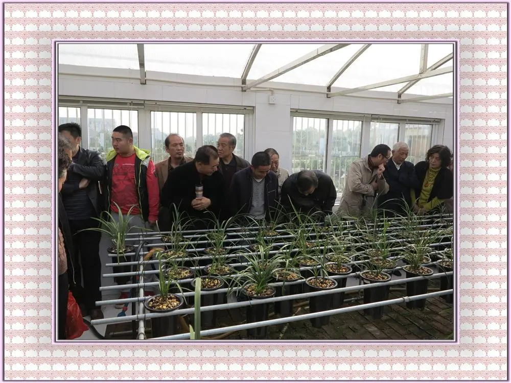 参观活动现场图2