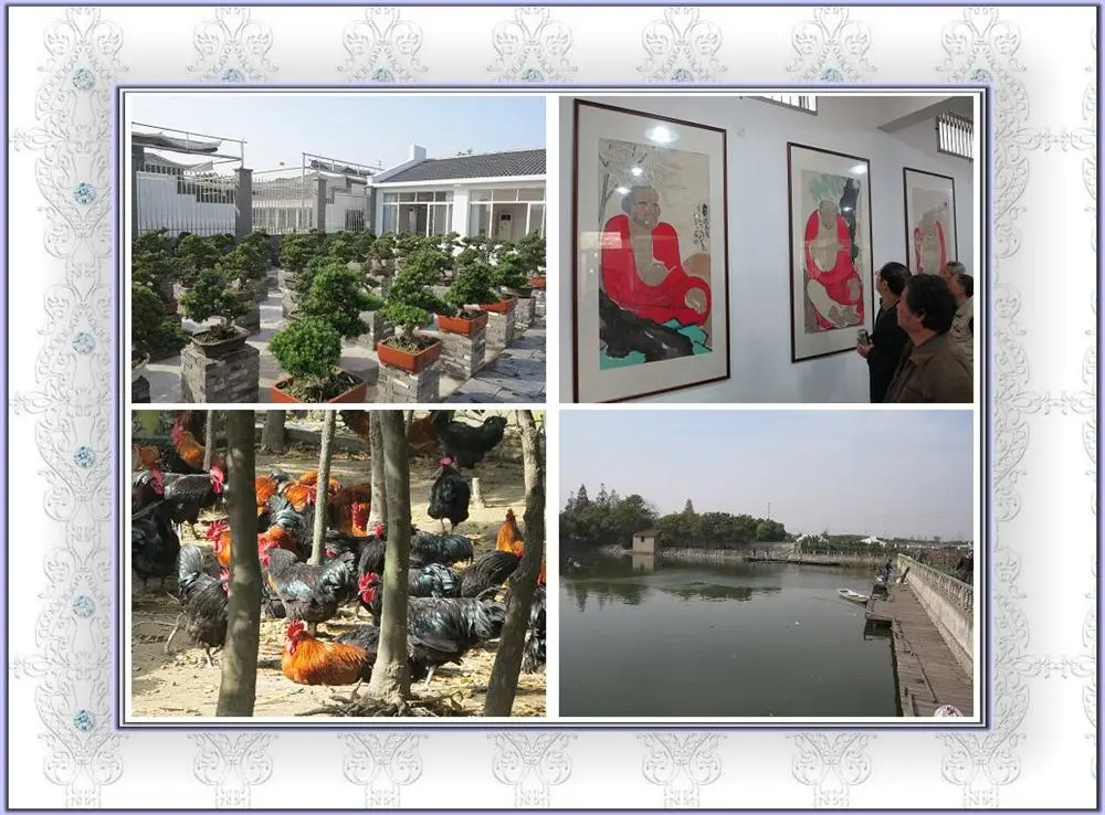 参观活动现场图1