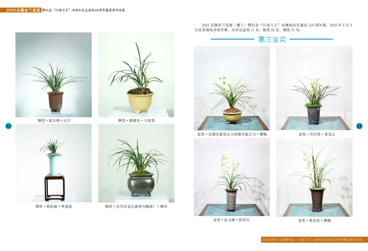 兰花展