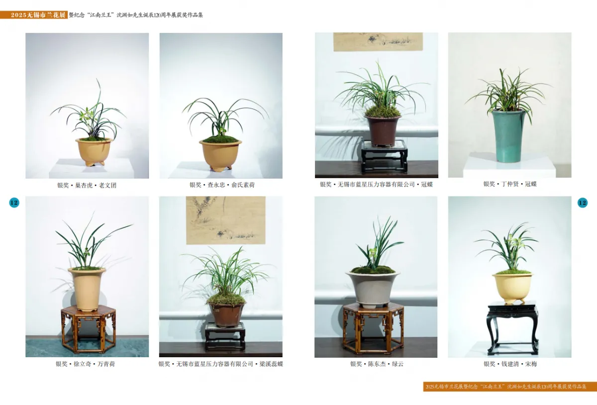 兰花展