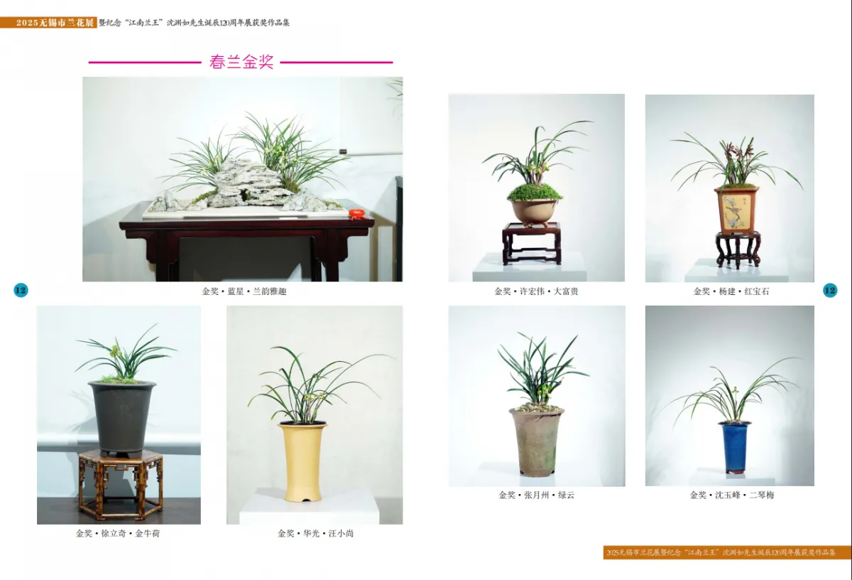兰花展