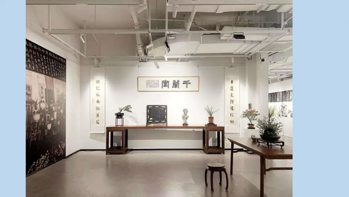 兰花展
