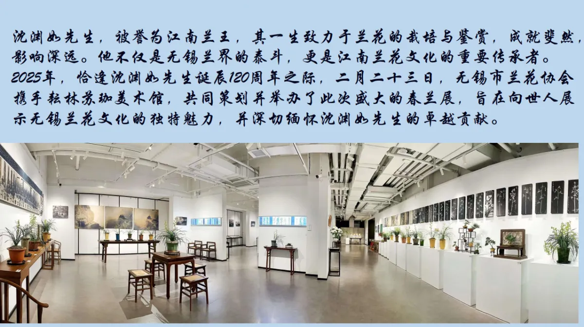 兰花展